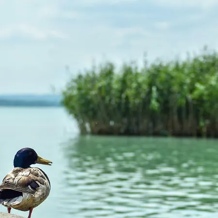 Yacht Club 3* Tihany