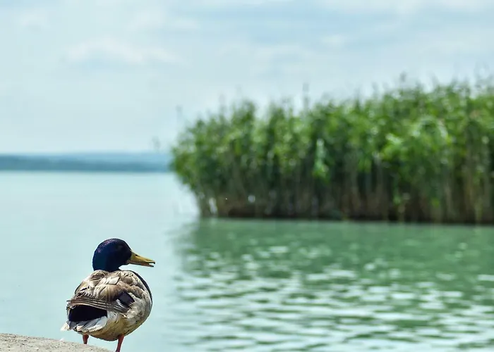 Yacht Club 3* Tihany